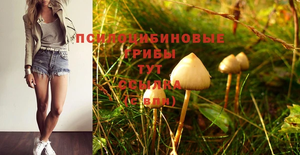 прущий лед Алексин