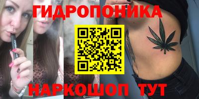 прущие крисы Гудермес