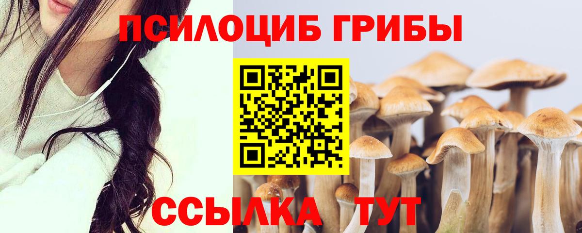 Галлюциногенные грибы ЛСД Канск