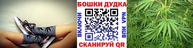 Бошки Шишки MAZAR  Канск 
